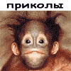 Prikol.Biz - ����� ���������� ��������, ����-������� � ����� �� ����� ����!